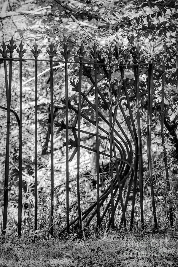 Iron Fence Photograph by Karen Silvestri