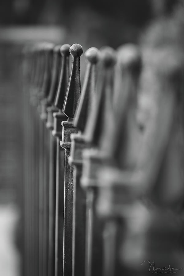 Iron Fence Photograph by Nunweiler Photography