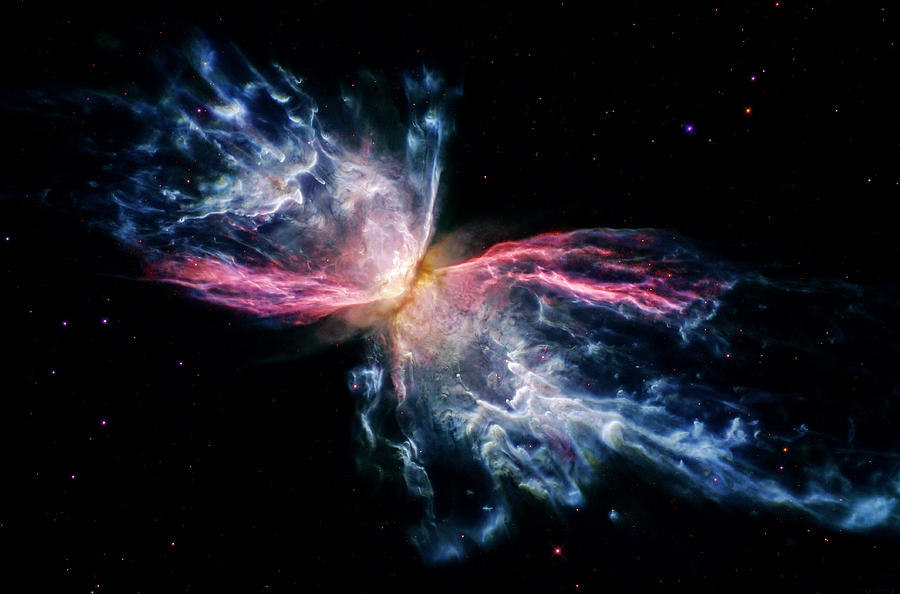 Iron in the Butterfly Nebula, NASA Digital Art by Celestial Images