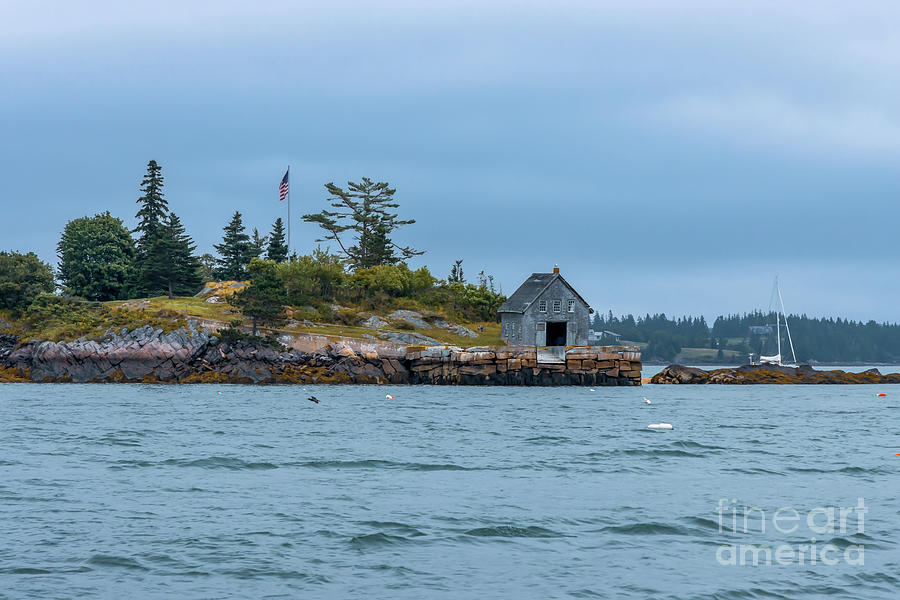 Iron Point North Haven Maine Photograph by Elizabeth Dow