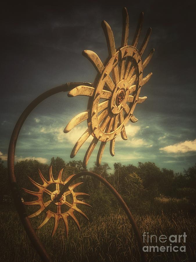 Iron Sunflowers Photograph by David Rucker