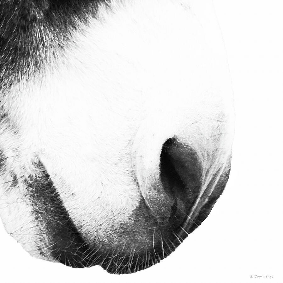 Irresistible Softness Donkey Art Painting by Sharon Cummings Irresistible Softness Donkey Art Painting by Sharon Cummings
