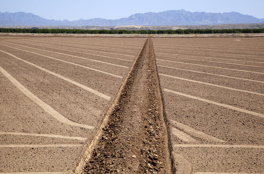 Irrigation ditch; plowed field ready for planting Photograph by Timothy Hearsum