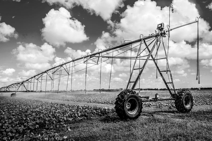Irrigation South Florida-1 Photograph