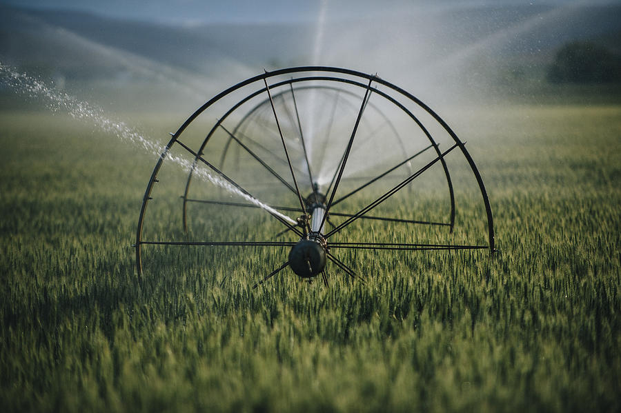 Irrigation system watering crops on farm field Photograph by Pete Saloutos