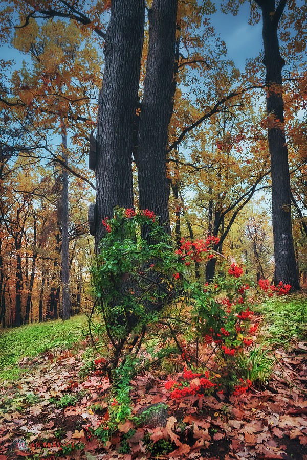 Is it autumn or is it spring? Photograph by Dejan Travica Is it autumn or is it spring? Photograph by Dejan Travica