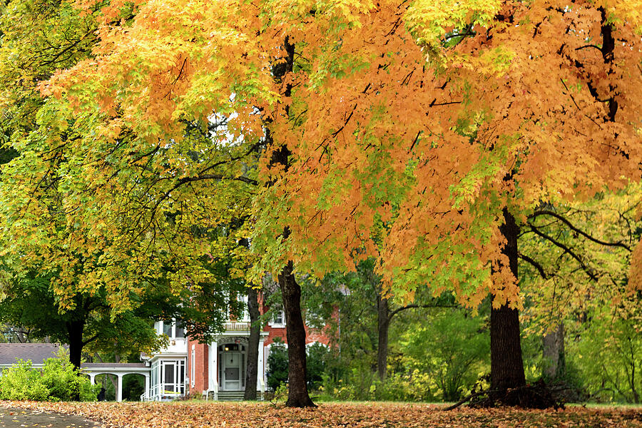 Is It Autumn Yet? Photograph by Guy Shultz - Fine Art America