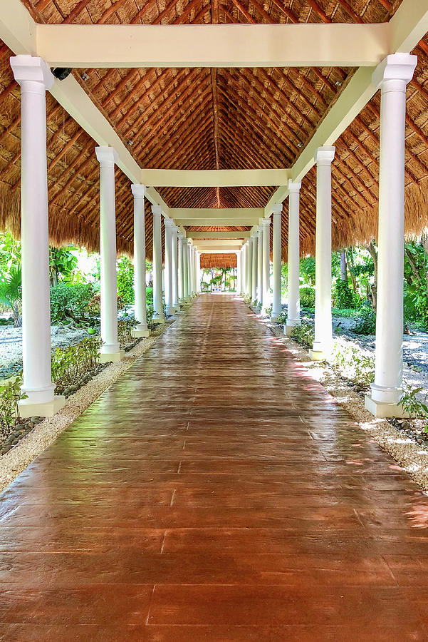 Is the path your on the path you chose? Photograph by Ryan Higginbotham Is the path your on the path you chose? Photograph by Ryan Higginbotham