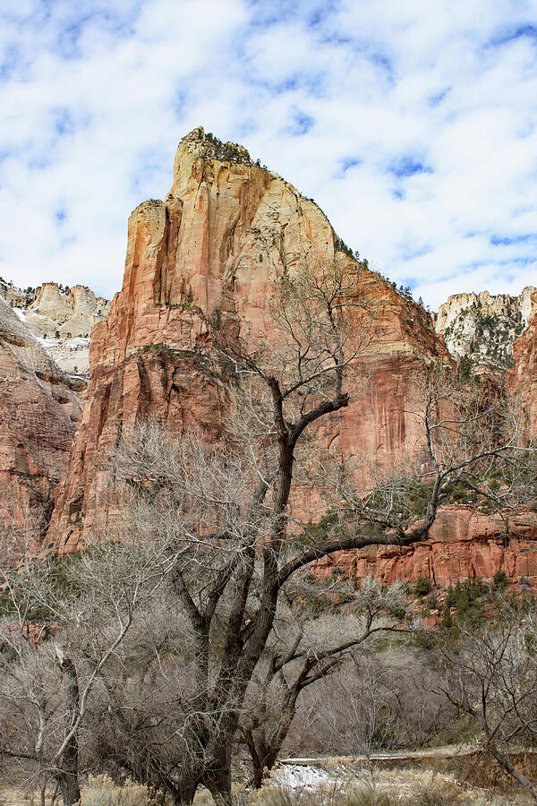 Isaac Peak, Zion National Park Photograph by Thierry Lach Isaac Peak, Zion National Park Photograph by Thierry Lach