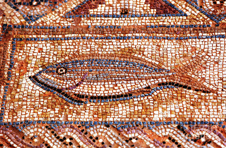 Fish Mosaic at the House of Eustolios in Kourion Photograph by John Rizzuto