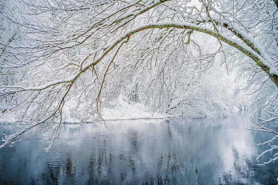 Isinglass Winter Photograph by Jeff Sinon