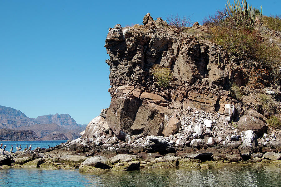 Isla Coronado Cliffs Photograph by William Scott Koenig