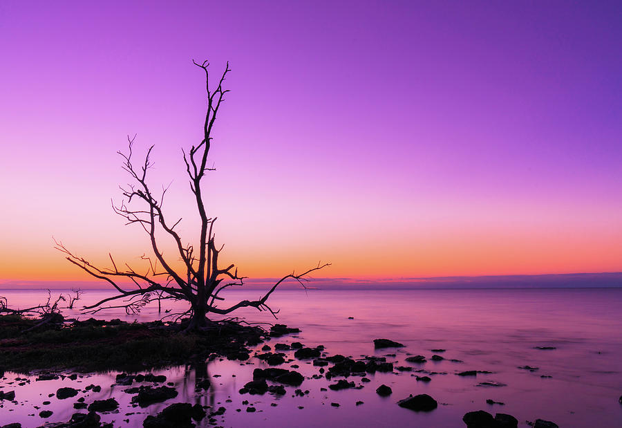 Isla Morada Photograph by Chad Sawyer - Pixels