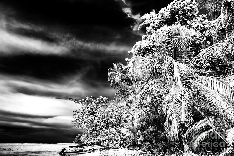 Isla Zapatillas at Bocas del Toro Photograph by John Rizzuto
