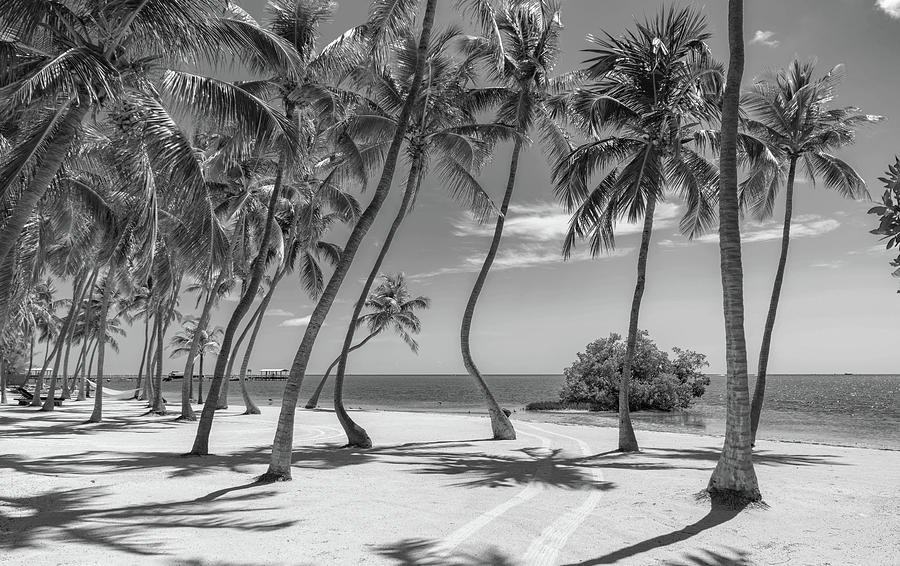 Florida Keys Photograph - Islamorada 2021 Bw - Casitas by Joey Waves