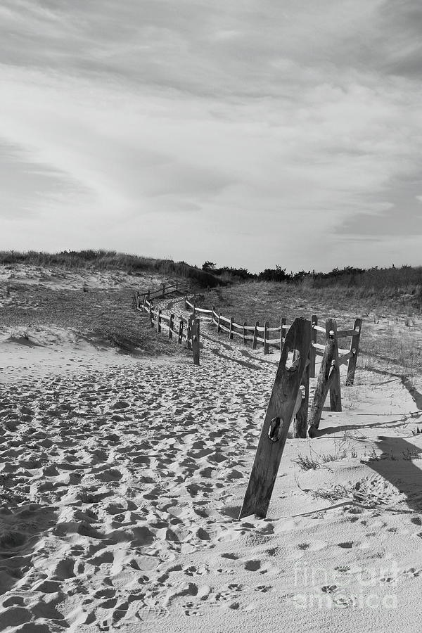 Island Beach State Park Beach Path Photograph by Brad Knorr Fine Art