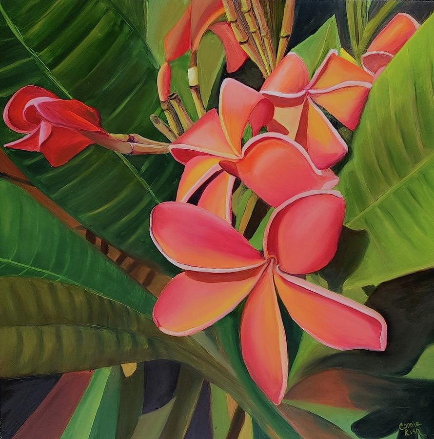 Island Bloom Painting by Connie Rish