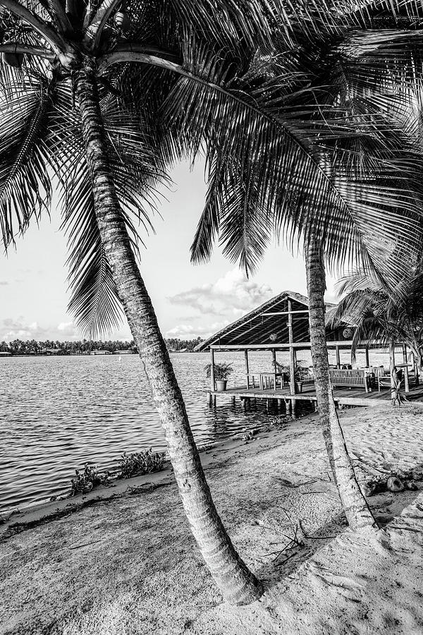 Island Dock Black and White Photograph by Debra and Dave Vanderlaan