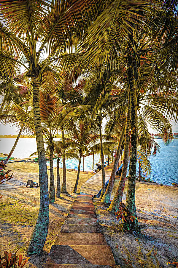 Island Dock Under Palms  Painting Photograph by Debra and Dave Vanderlaan