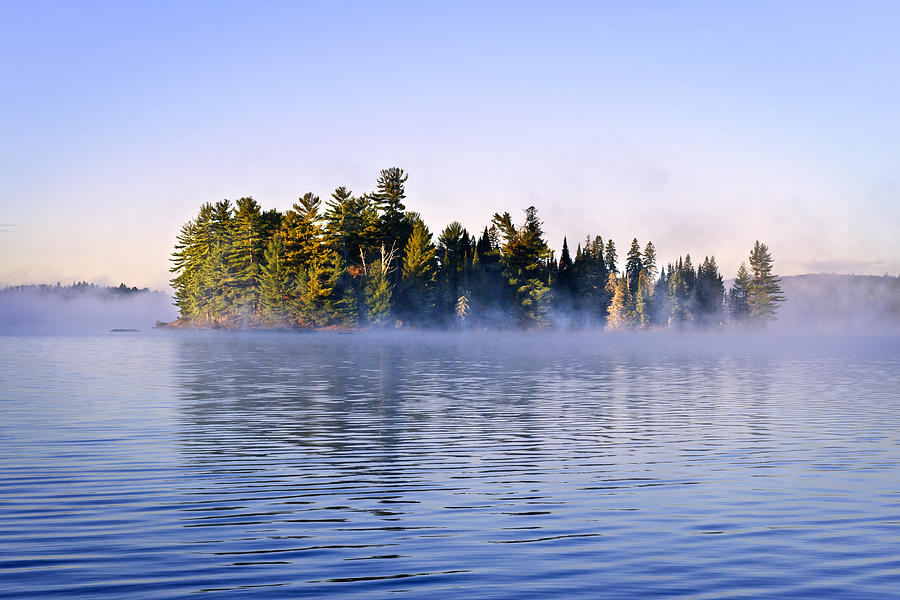 Nature Photograph - Island in lake with morning fog by Elena Elisseeva