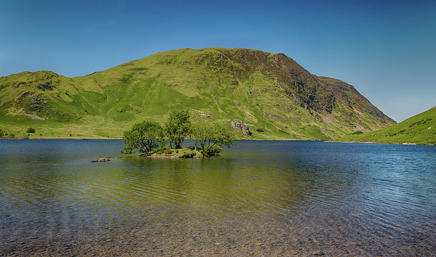 Tree Photograph - Tree Island by John Gilham Tree Photograph - Tree Island by John Gilham