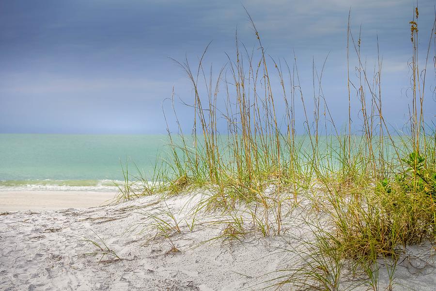 Island Sand Dunes Photograph by Susan Rydberg