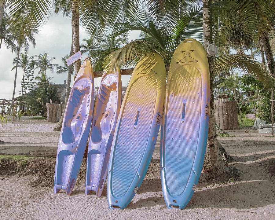 Island Surfboards Photograph by Debra and Dave Vanderlaan