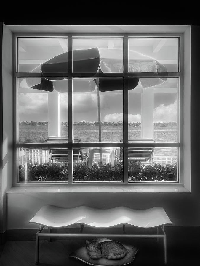 Island Umbrella through the Porch Window Black and White Photograph by Debra and Dave Vanderlaan