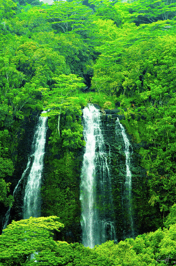 Island Waterfall Photograph by Rick Harmon Shutterricky Photography Collections And Island Waterfall Photograph by Rick Harmon Shutterricky Photography Collections And
