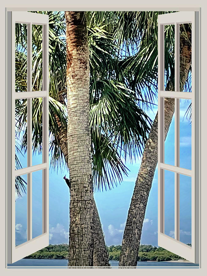 Island Woodpecker Window View Photograph by Sheri McLeroy