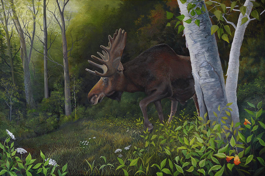 Northwoods Moose Painting by Charles Owens