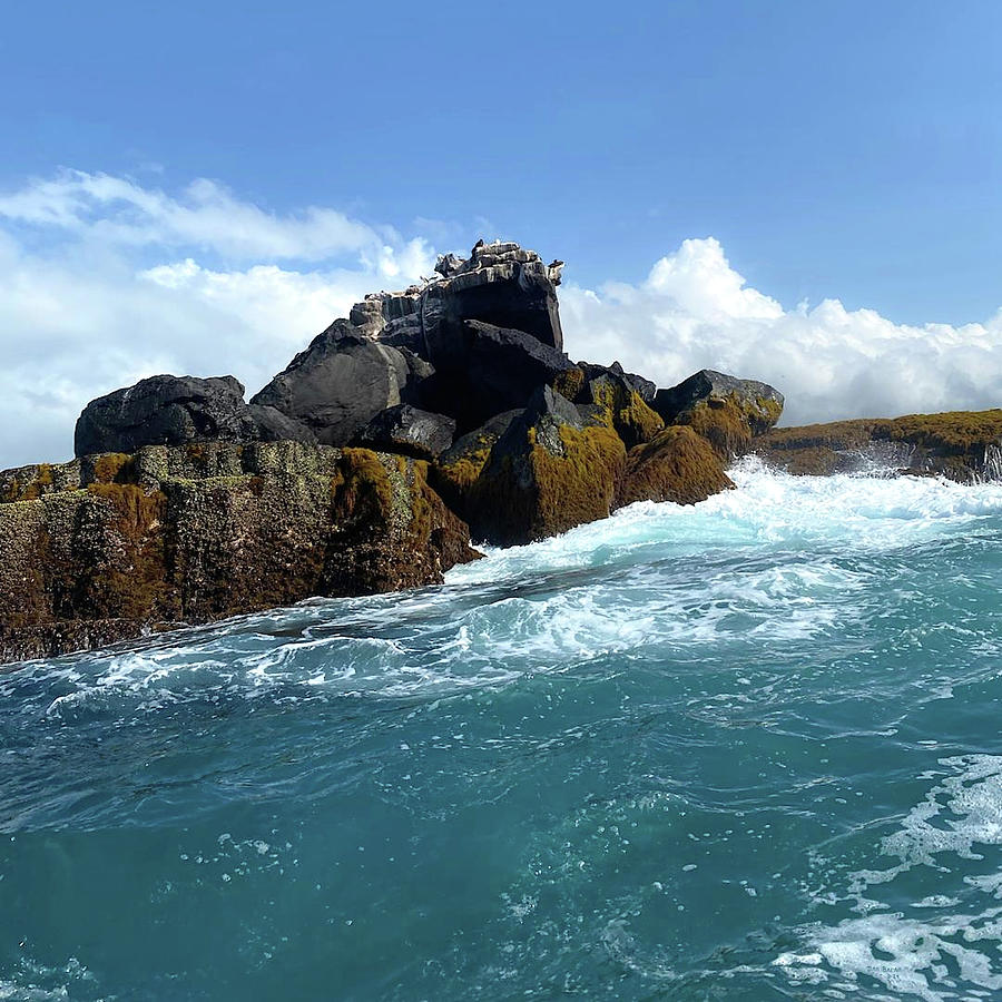 Islet Union Rock Photograph by Daniel Baran