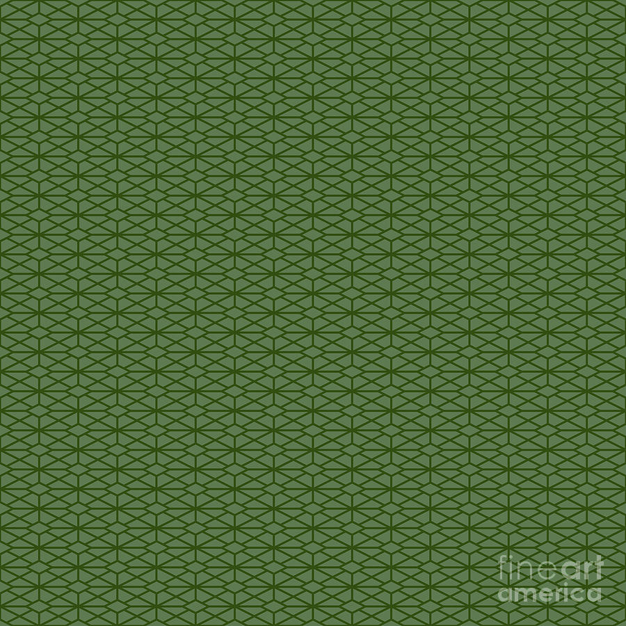 Isometric Hishi Grid With Diamond Pattern in Cactus And Dark Olive Green n.2152 Painting by Holy Rock Design