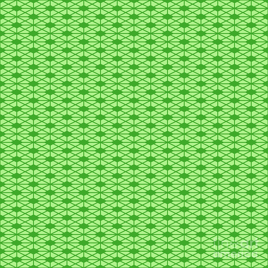Isometric Hishi Grid With Diamond Pattern In Light Apple And Grass Green N.2686 Painting