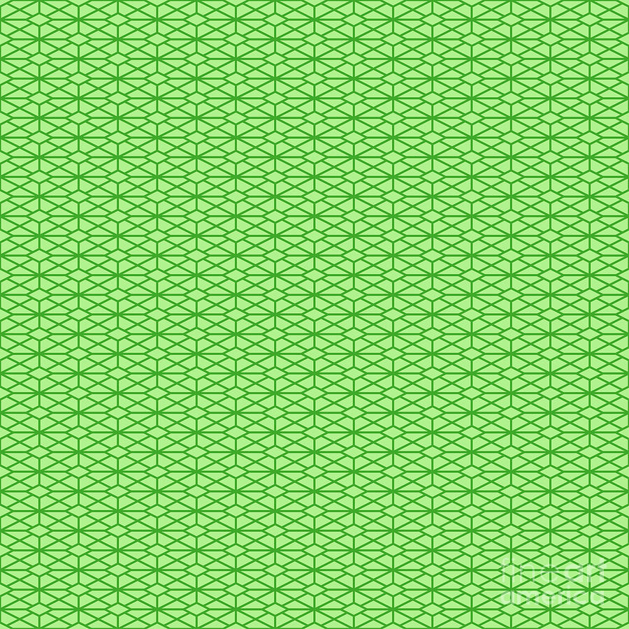 Isometric Hishi Grid With Diamond Pattern in Light Apple And Grass Green n.3076 Painting by Holy Rock Design