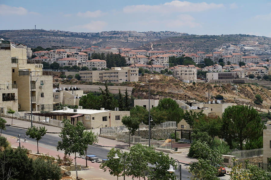 Israel Scenery #2 Photograph by Lea Ravitz - Fine Art America