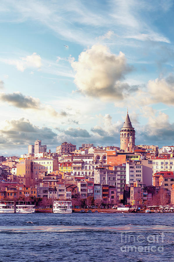 Seagull Photograph - Istanbul Galata Region by Antony McAulay