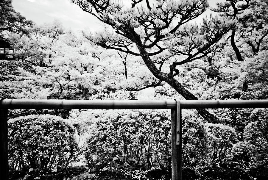 Isuien Garden, Nara, Japan Photograph by Eugene Nikiforov