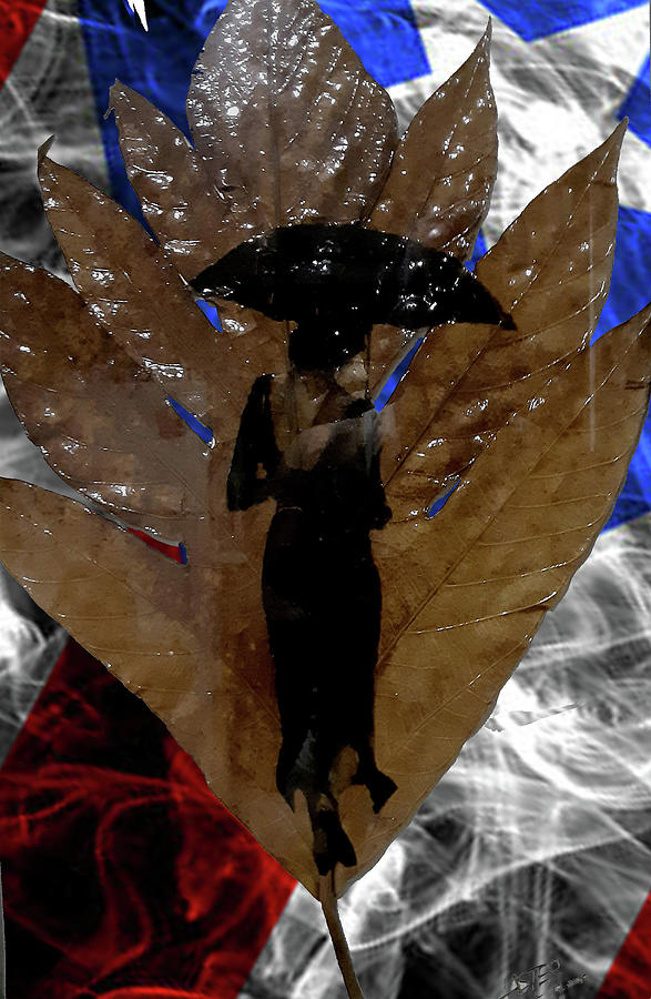 Rain Digital Art - It is Rainin by Carlos Laster Rain Digital Art - It is Rainin by Carlos Laster