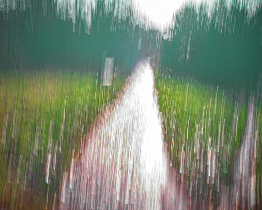 Rain Photograph - It Never Stops Raining by A J Paul Rain Photograph - It Never Stops Raining by A J Paul