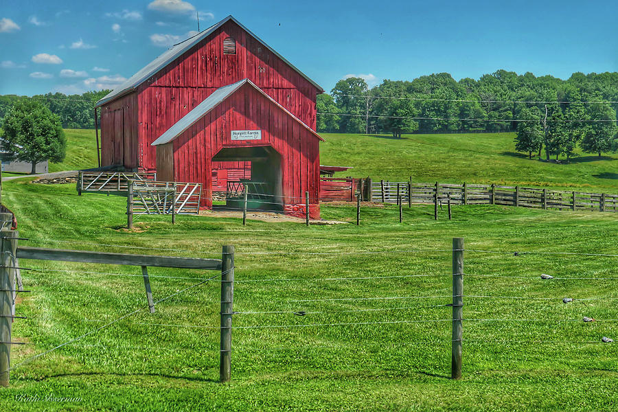 It Still Stands Photograph by Kathi Isserman - Fine Art America