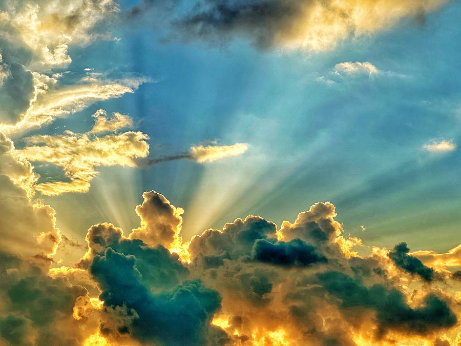 It came with a ray of sunshine Photograph by Joanne Martens - Fine Art ...