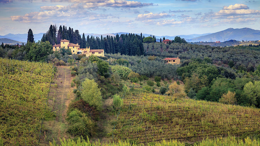 Italian Countryside In Tuscany Photograph