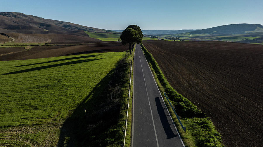 Italian Countryside road with treeline  Photograph by John McGraw