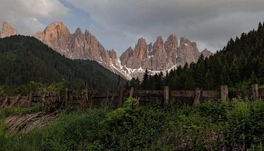 Italian Crooked Fenceline Photograph by Norma Brandsberg