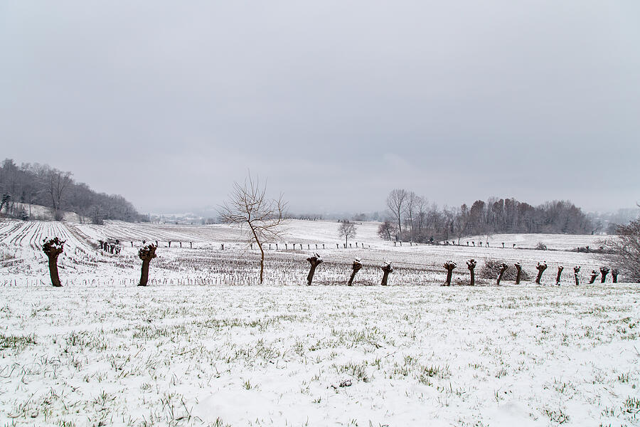 Italian Fields Covered By Snow Photograph by Zakaz86