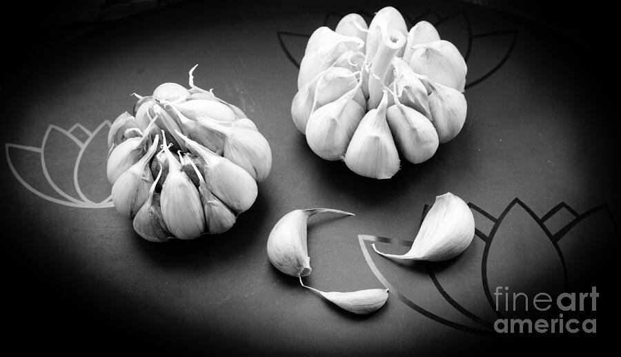 Italian Garlic Bulbs Still Life Photograph by Stefano Senise Italian Garlic Bulbs Still Life Photograph by Stefano Senise