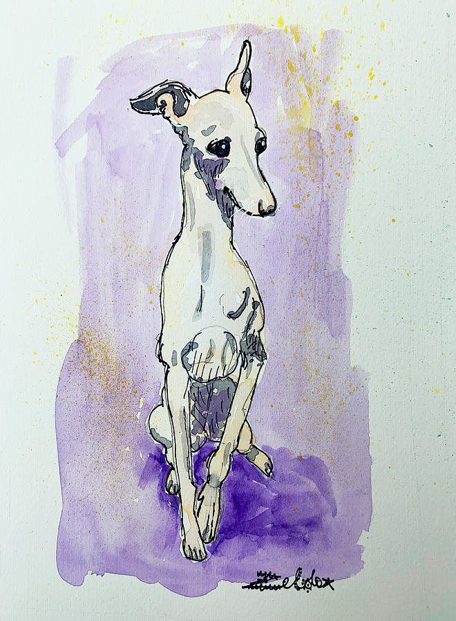 Italian Greyhound in Purple Painting by Zelda Tessadori