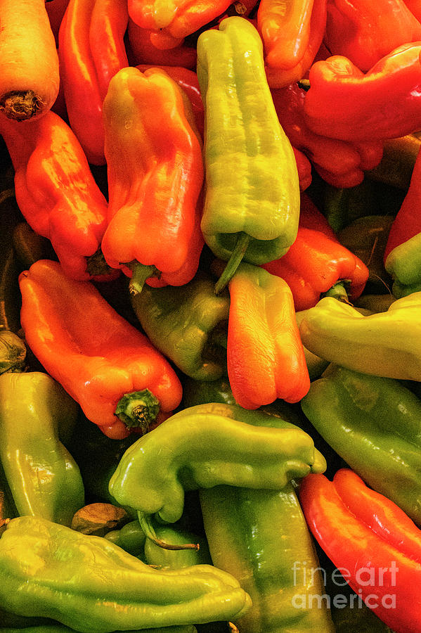 Italian Market Pepper Colors Photograph by Bob Phillips