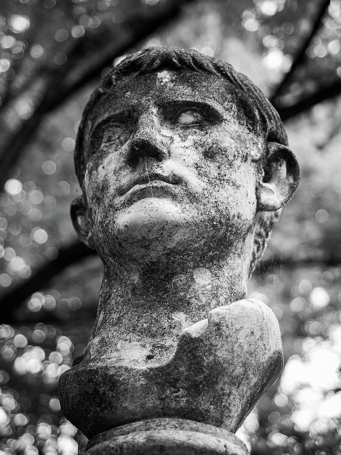 Black And White Photograph - Italian Sculpture #3 At MacCallum More Gardens, Chase City Virginia Black and White  by Robby Batte